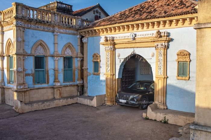 A tale of thoroughbreds